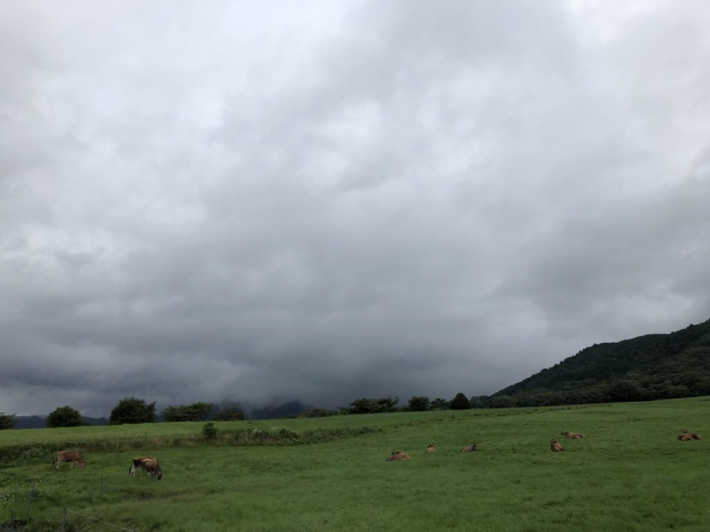 蒜山高原とジャージー牛